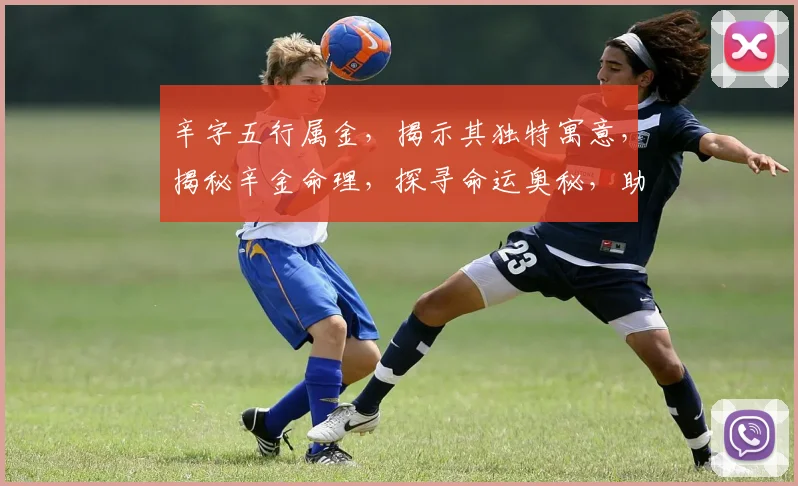 辛字五行属金，揭示其独特寓意，揭秘辛金命理，探寻命运奥秘，助你了解人生轨迹。